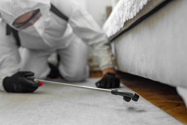Professional Pest Control technician working in Logan County County, OH